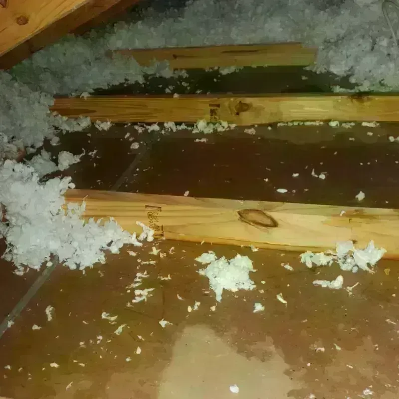 Attic Water Damage in Kingsburg, CA